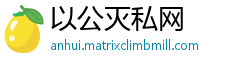 以公灭私网